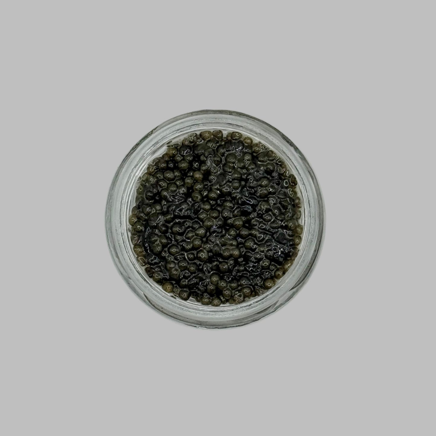 American Paddlefish Caviar