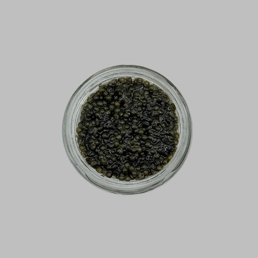 American Paddlefish Caviar