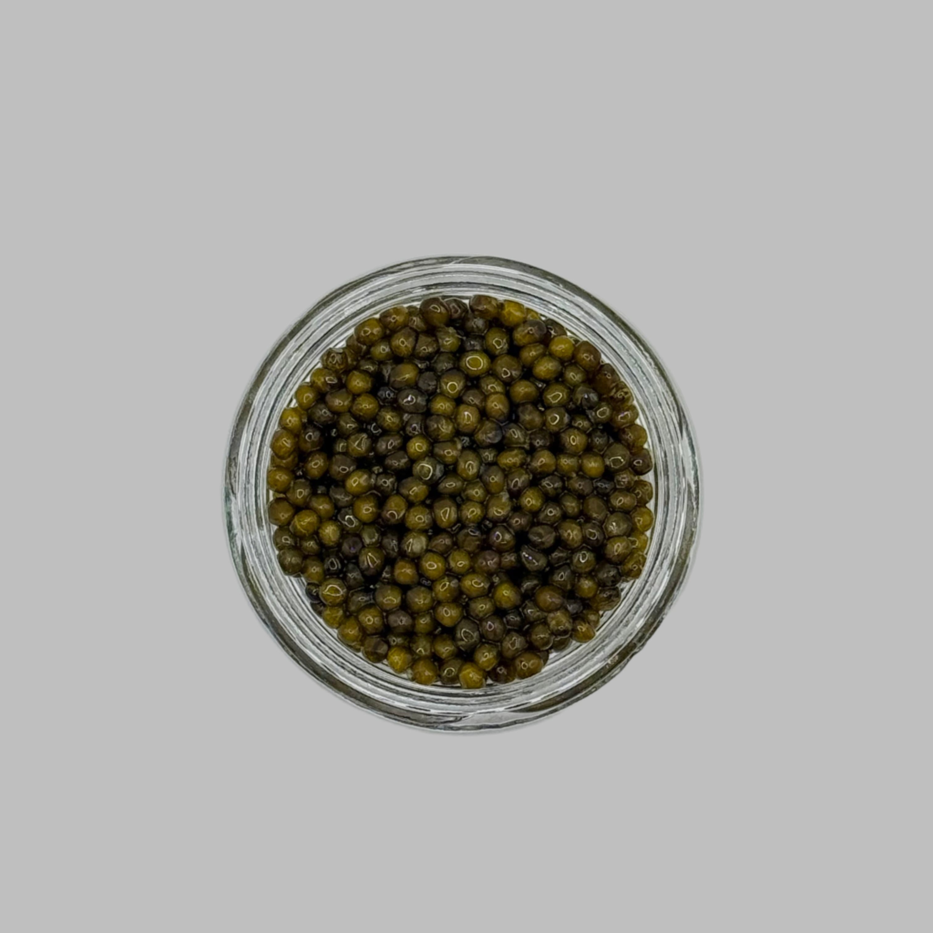 Kaluga Hybrid – NüGen Caviar